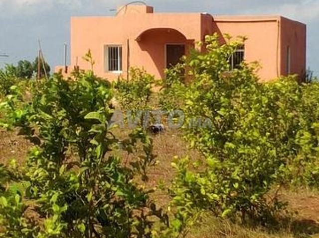 Propriété vente à El Ma, Gharb-Chrarda-Beni Hssen