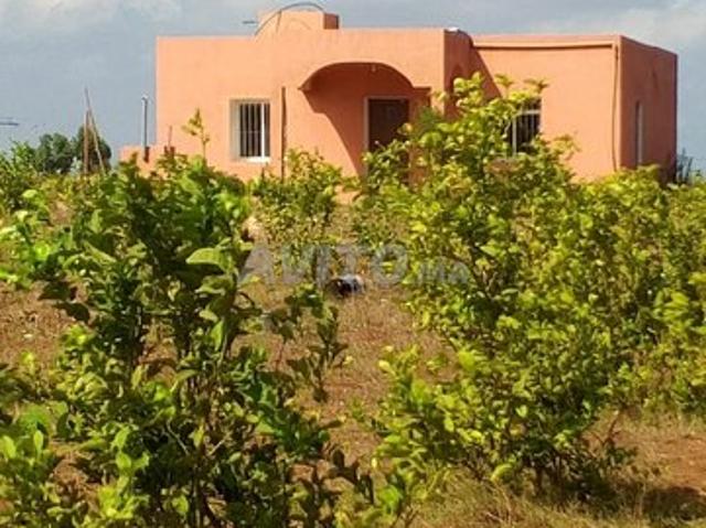 Propriété vente à El Ma, Gharb-Chrarda-Beni Hssen