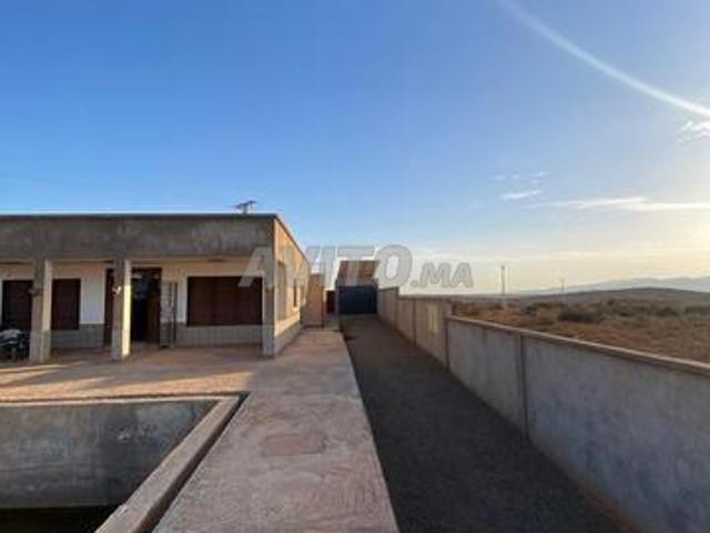 Propriété vente à Saida