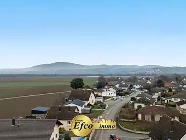 Maison vente à Mulhouse, Petit-landau