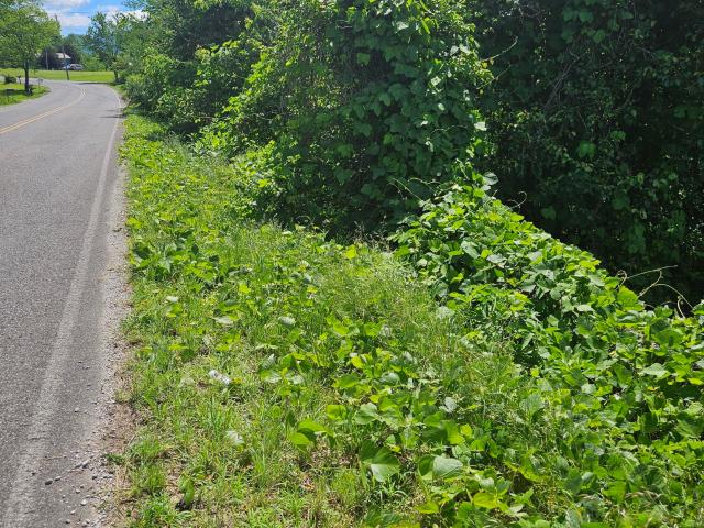Land for sale in Tennessee