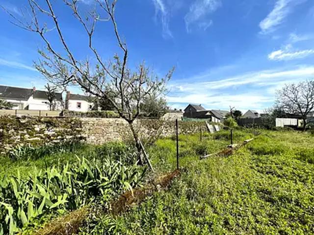 Terrain vente à France métropolitaine, Petit-mars