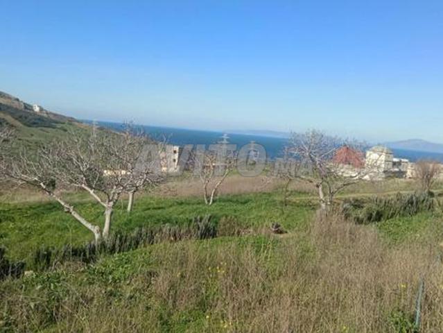 Propriété vente à El Fahs, Tanger-Tétouan