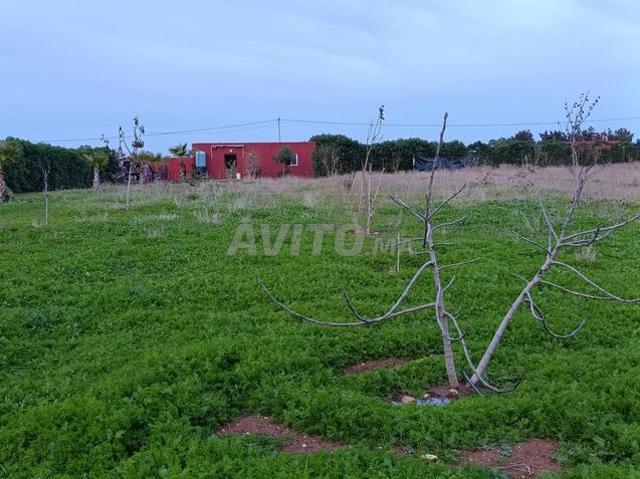 Propriété vente à El Ma, Gharb-Chrarda-Beni Hssen