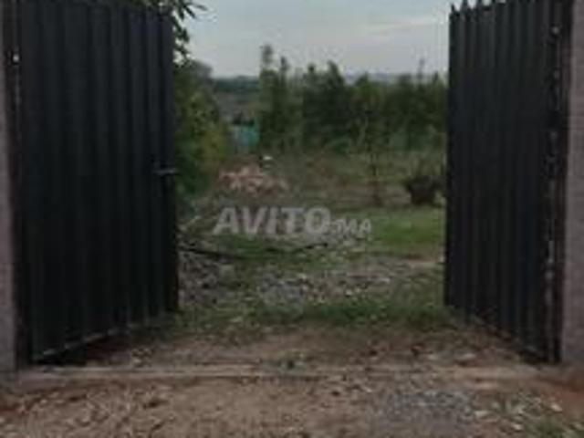 Propriété vente à Salé