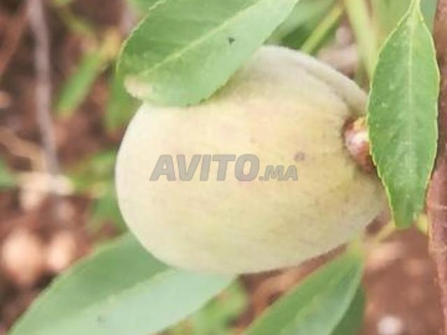 Propriété vente à Settat, Gharb-Chrarda-Beni Hssen