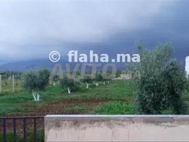 Propriété vente à Ain Cheggag