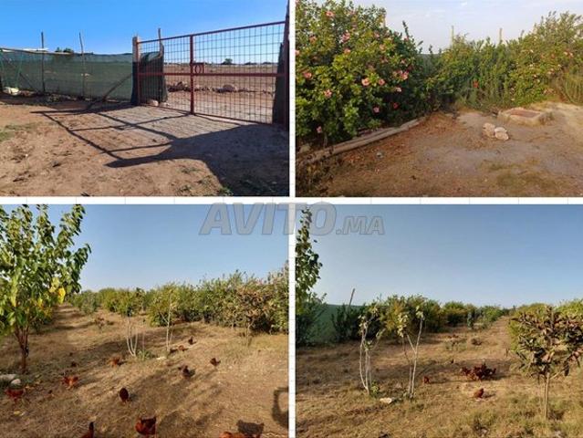 Propriété vente à El Ma, Gharb-Chrarda-Beni Hssen