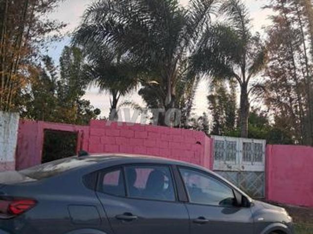 Maison vente à Salé