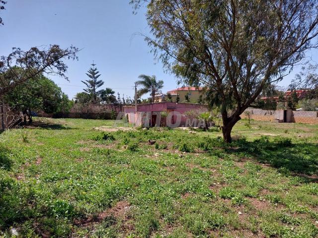 Propriété vente à El Ma, Gharb-Chrarda-Beni Hssen
