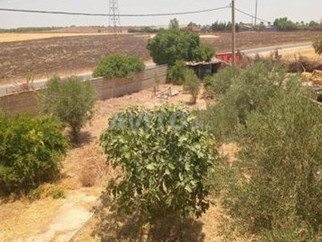 Propriété vente à Mediouna, Gharb-Chrarda-Beni Hssen