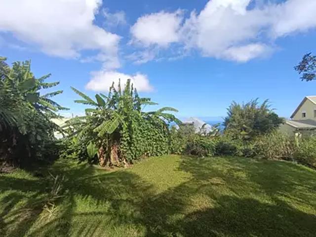 Terrain vente à Petite-île