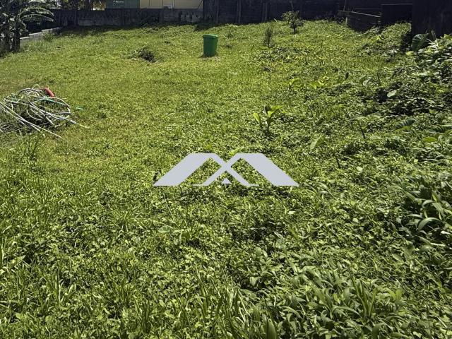Terrain vente à La Réunion