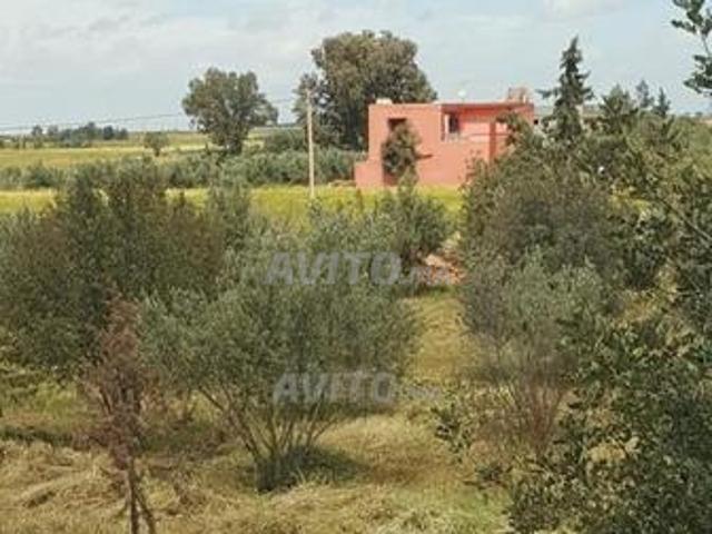 Propriété vente à Khouribga