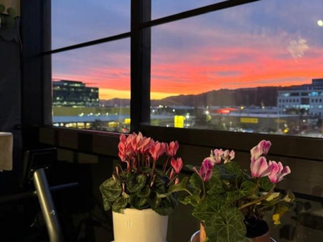 House for rent in Days Bay, Wellington
