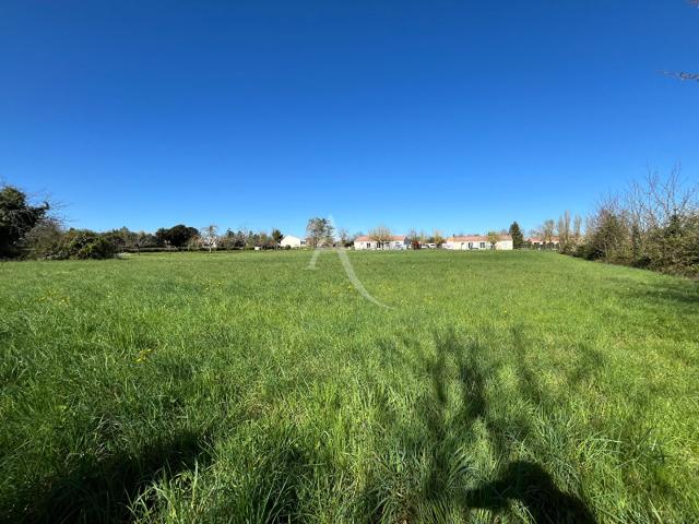 Terrain vente à Fontenay-le-Comte, Petosse