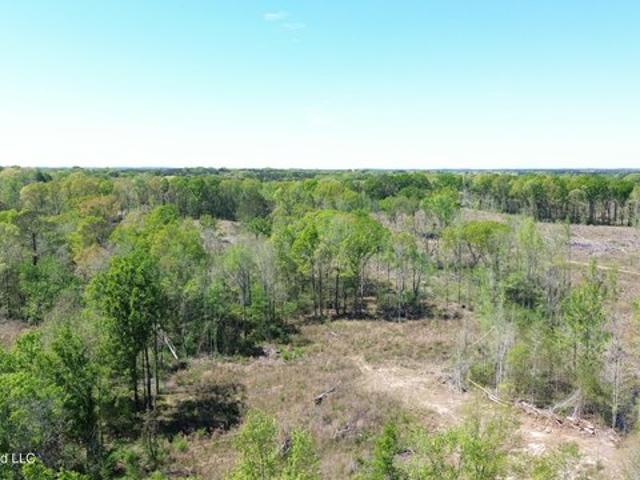 Land for sale in Forest, Mississippi