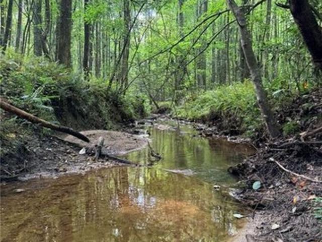 Land for sale in Jasper, Pickens County