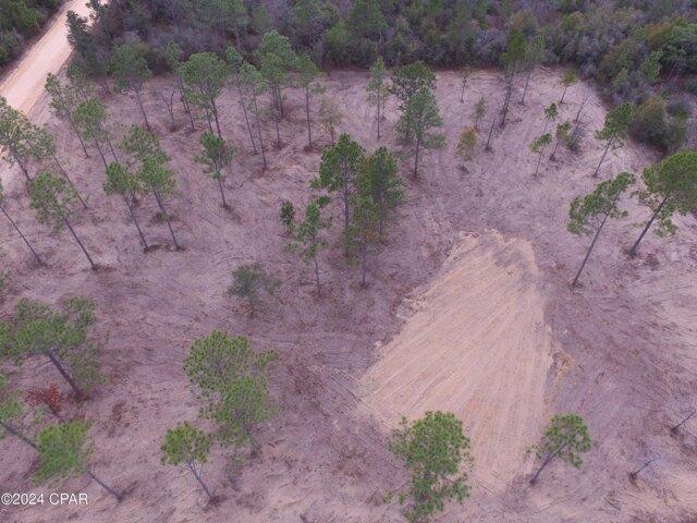Land for sale in Marianna
