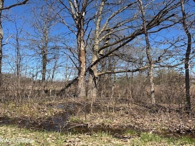 Land for sale in Imlay City, Michigan