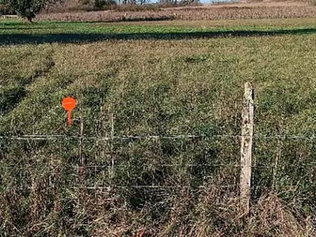 Terrain vente à France métropolitaine, Peujard