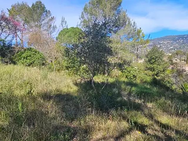 Terrain vente à Grasse, Peymeinade