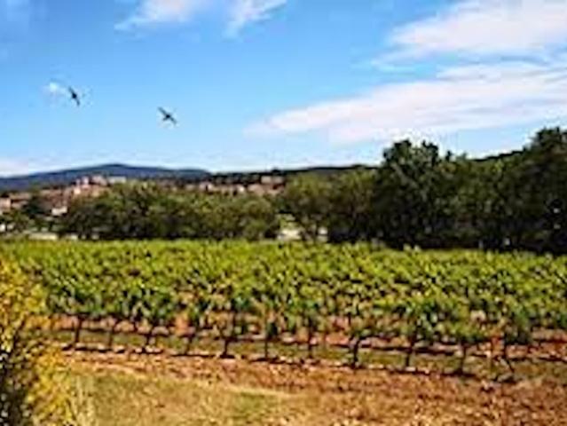 Terrain vente à France métropolitaine, Peynier