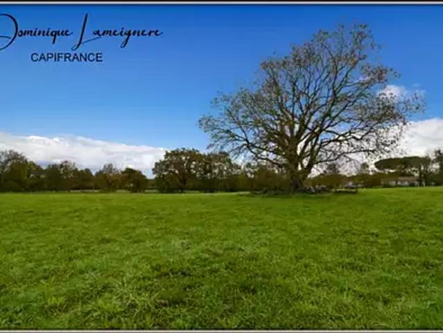 Terrain vente à Peyrehorade, Landes