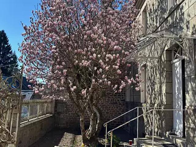 Maison vente à Chez le Prou, Peyrelevade