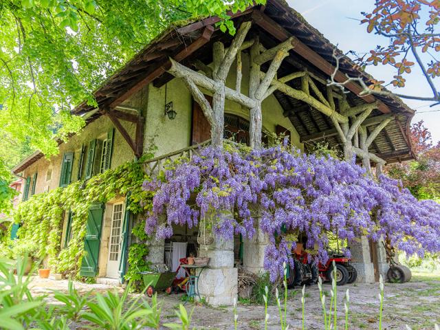Maison vente à Belley, Peyrieu
