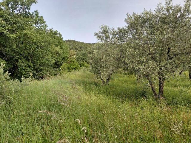 Terrain vente à Digne-les-Bains, Peyruis