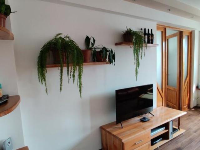 Apartament închirieri în Cluj-napoca, Cluj