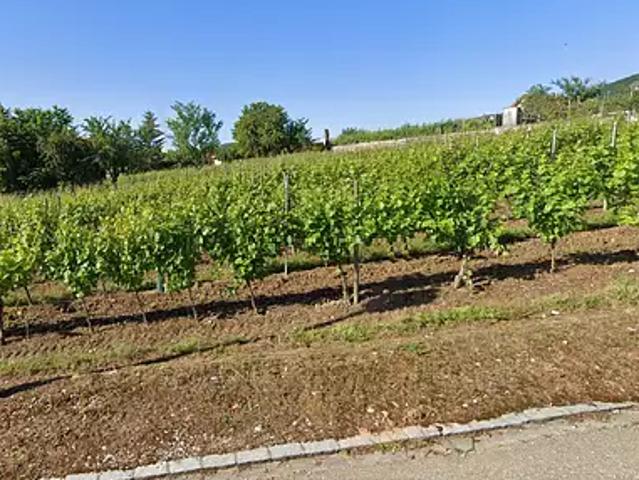 Terrain vente à Pfaffenheim, Collectivité européenne d'Alsace