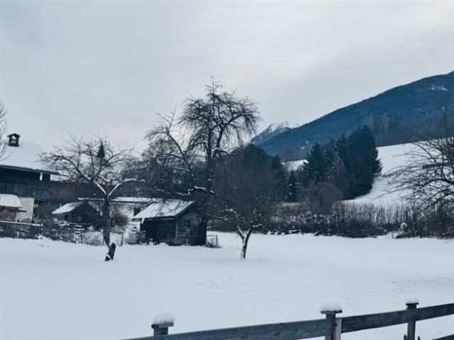 Grundstück kaufen in Pfaffenhofen, Tirol