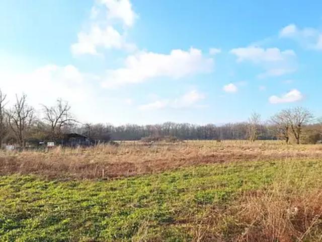 Terrain vente à Pfastatt, Collectivité européenne d'Alsace
