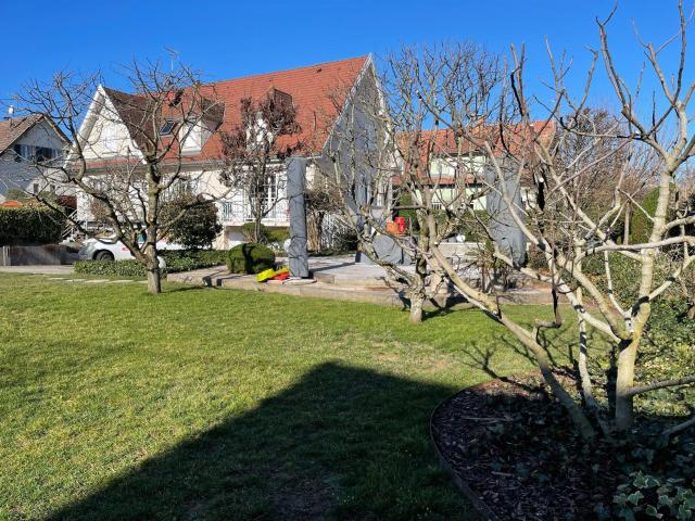 Villa vente à Mulhouse, Pfastatt