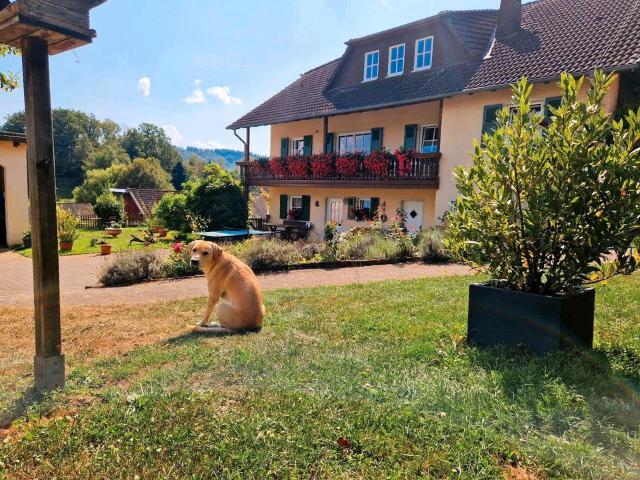 Haus kaufen in Birkenfeld, Rheinland-Pfalz
