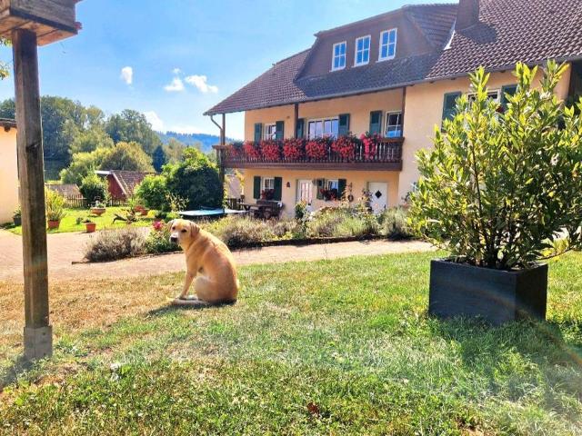 Haus kaufen in Birkenfeld, Rheinland-Pfalz