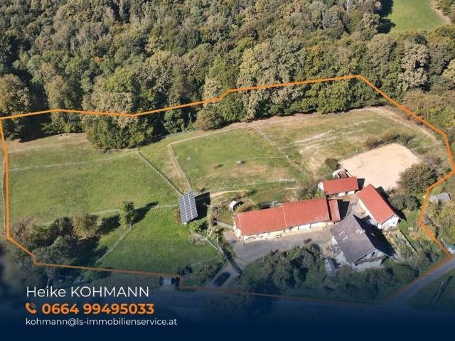 Haus kaufen in Bezirk Südoststeiermark, Steiermark