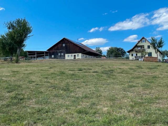 Haus kaufen in Altensteig, Baden-Württemberg