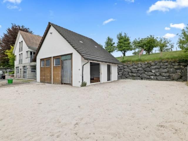 Immobilie kaufen in Bürglen (TG), Thurgau