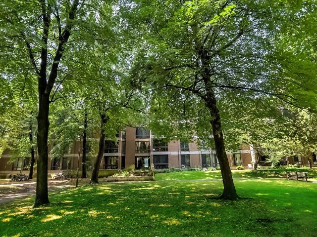 Apartment for rent in Verdun, St. Leonard's