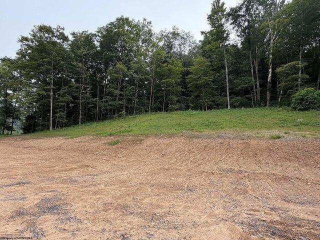 Land for sale in Belington, West Virginia