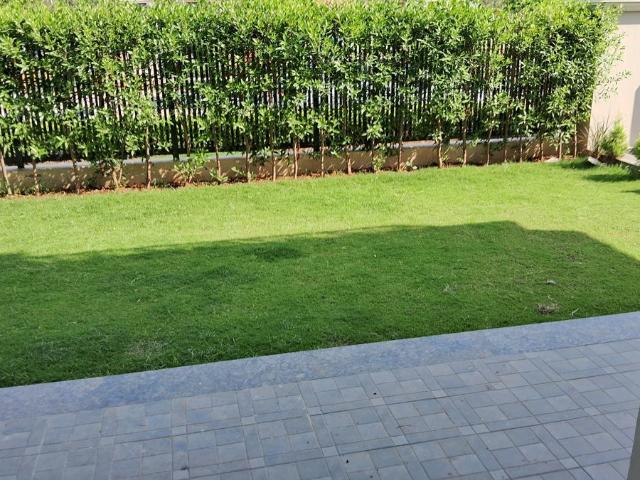 House for rent in Mohari, Punjab