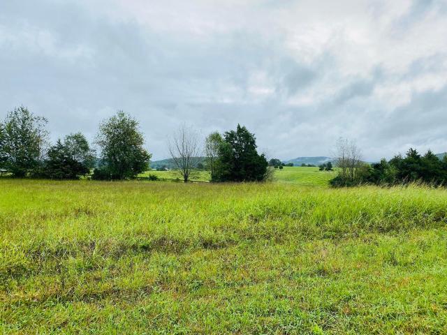 Land for sale in Monticello, Kentucky