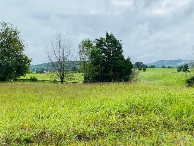 Land for sale in Monticello, Kentucky