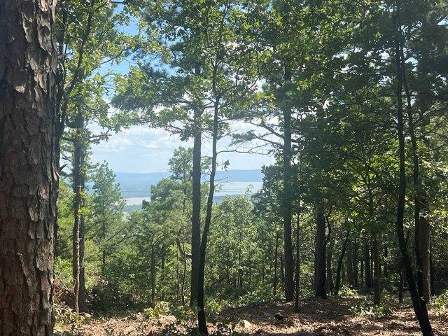 Land for sale in Tuskahoma, Oklahoma