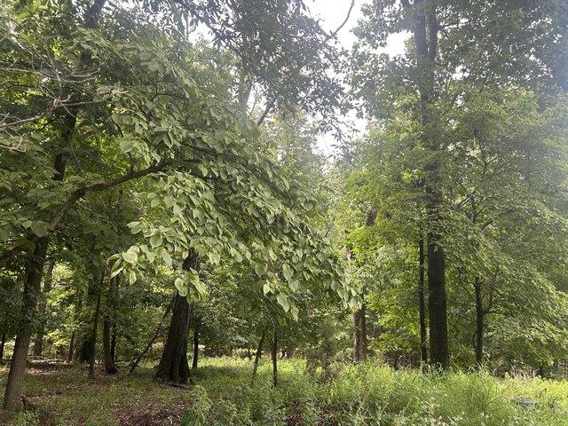 Land for sale in Afton, Oklahoma