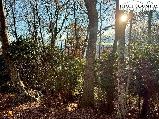 Land for sale in Watauga, North Carolina