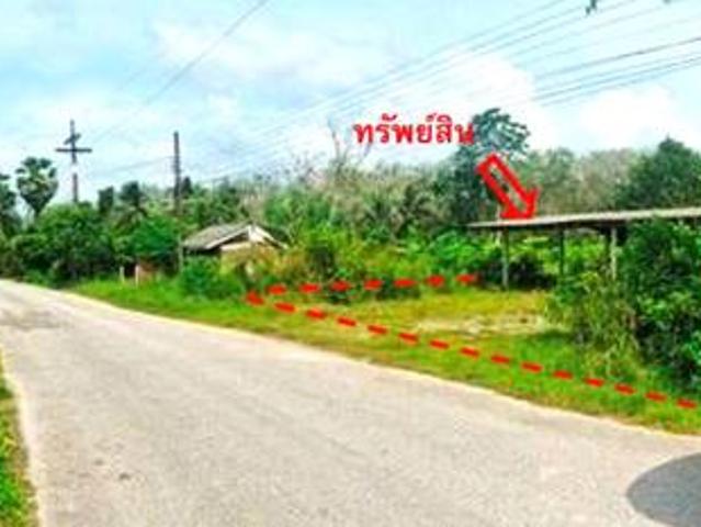 อพาร์ทเม้นท์ สำหรับขาย ใน โคกโพธิ์, ปัตตานี